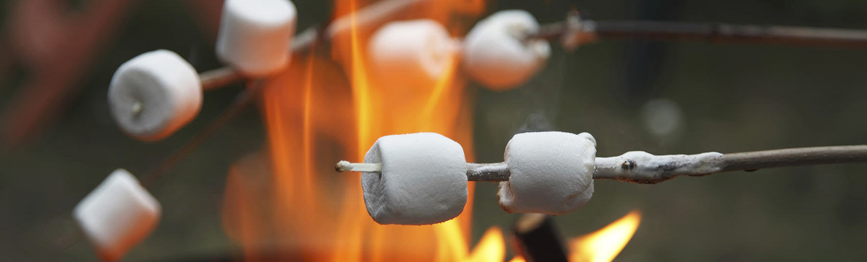 to the Municipality of Tweed Ontario