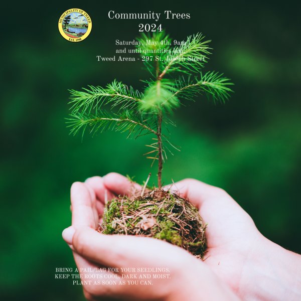 COMMUNITY TREES EVENT - 2024