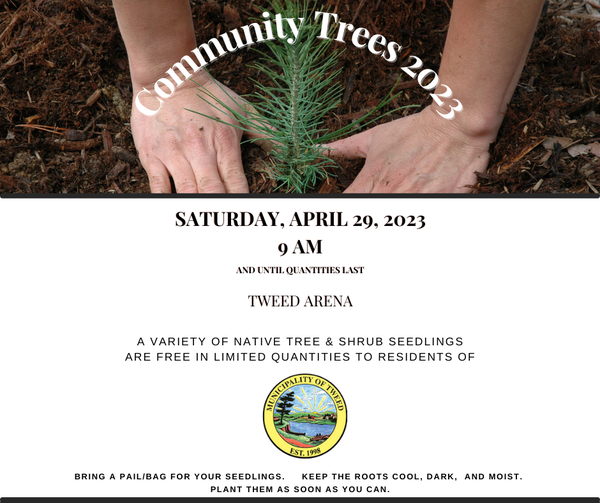 Community Trees