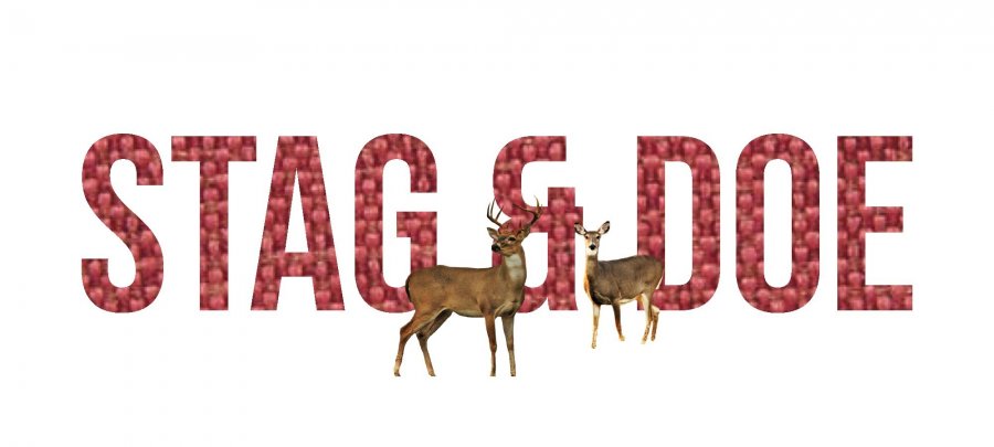 STAG & DOE: A Play by Mark Crawford