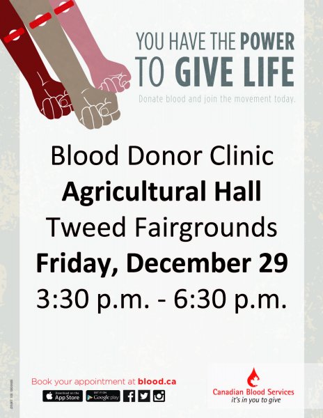 Tweed Blood Donor Clinic