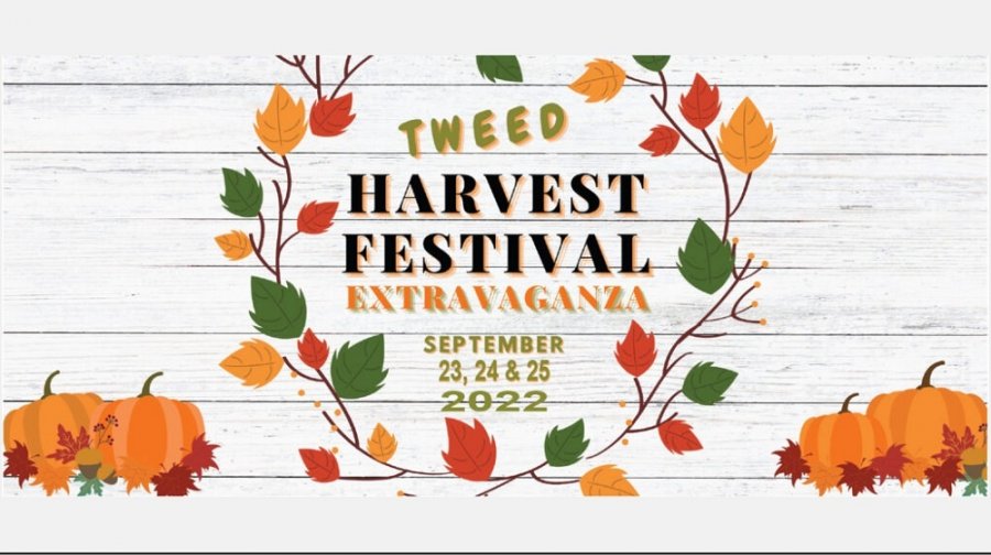 Tweed Harvest Festival 