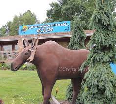Unconventional Moose, The